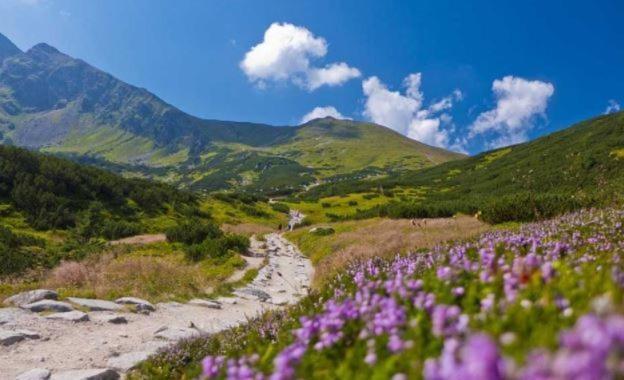 House Hanka, High Tatras Stará Lesná Eksteriør bilde